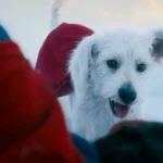 Sonic: O Filme 4 – Produção Começa em 2027